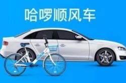 【1分钟教程】昭通企业名录_哔哩哔哩-2